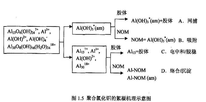 图1.5 聚合氯化铝的絮凝机理示意图