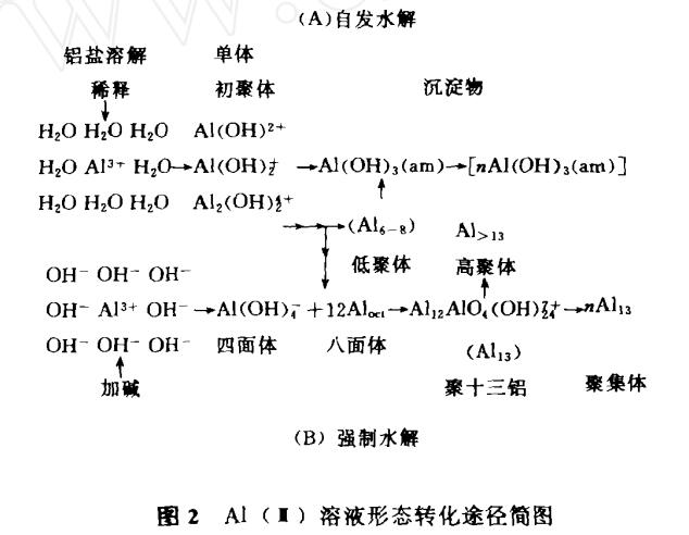 聚合氯化铝与传统混凝剂的凝聚-絮凝行为差异